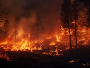 Latest Huguette Lake Forest Fire